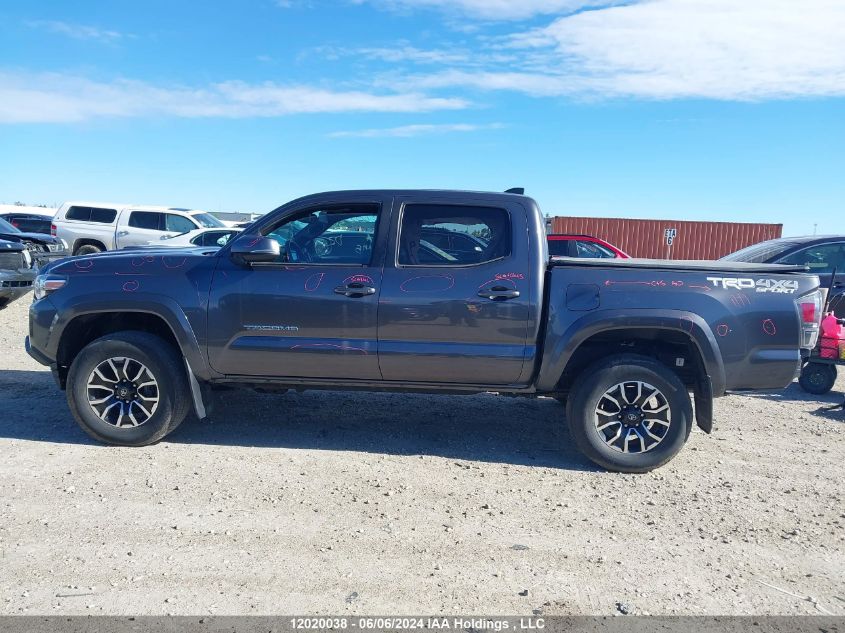 2021 Toyota Tacoma Nightshade VIN: 3TYCZ5AN6MT050886 Lot: 12020038