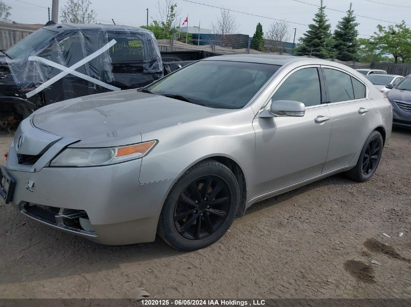 2011 Acura Tl VIN: 19UUA8F2XBA800387 Lot: 12020125