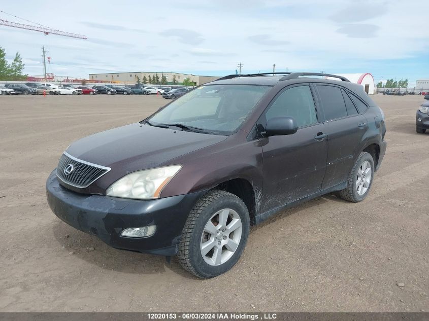 2004 Lexus Rx 330 VIN: 2T2HA31U24C013195 Lot: 12020153