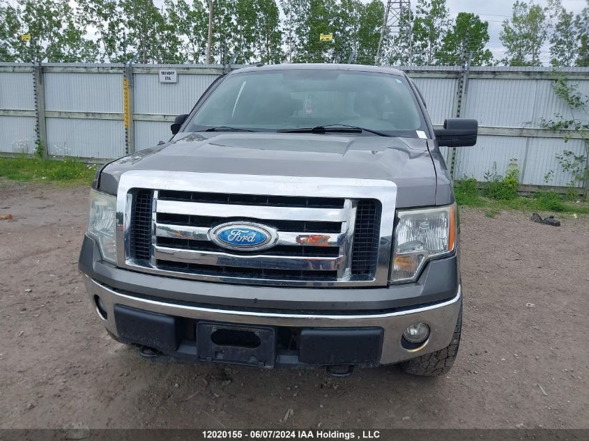 2009 Ford F-150 VIN: 1FTRW14899FB03679 Lot: 12020155