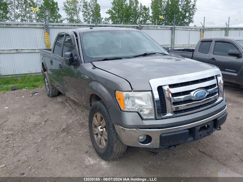 2009 Ford F-150 VIN: 1FTRW14899FB03679 Lot: 12020155