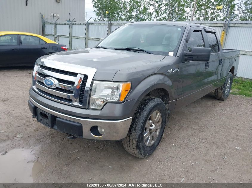 2009 Ford F-150 VIN: 1FTRW14899FB03679 Lot: 12020155