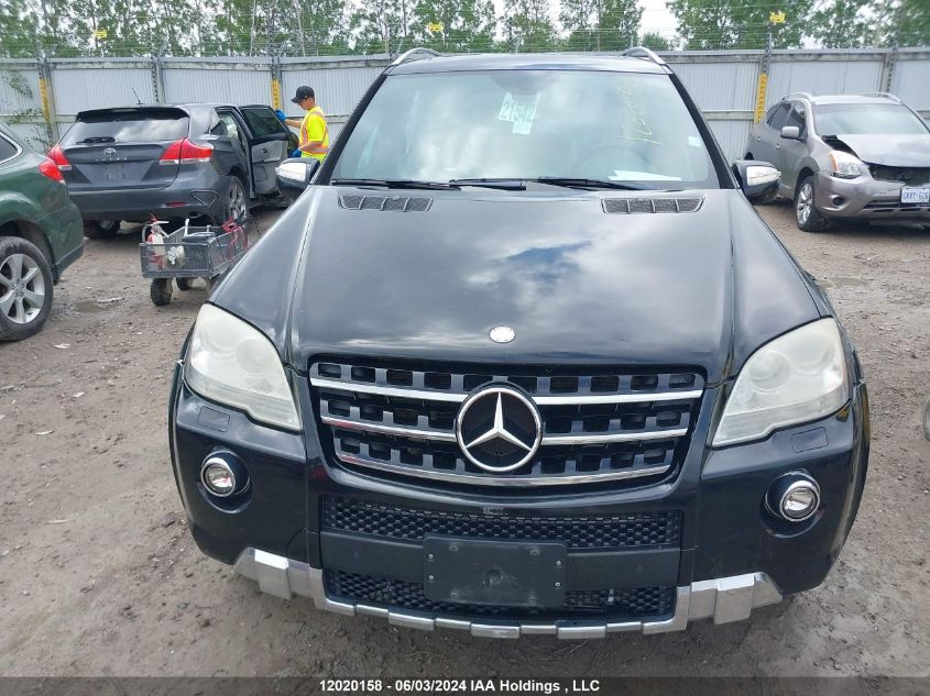 2010 Mercedes-Benz Ml-Class VIN: 4JGBB7HB8AA559126 Lot: 12020158