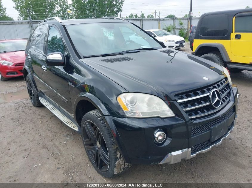 2010 Mercedes-Benz Ml-Class VIN: 4JGBB7HB8AA559126 Lot: 12020158