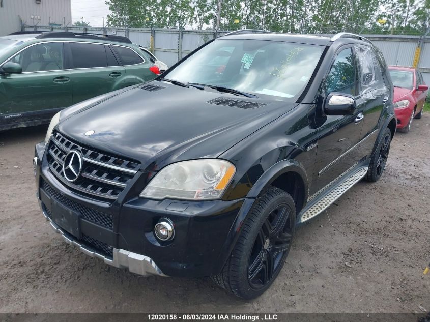 2010 Mercedes-Benz Ml-Class VIN: 4JGBB7HB8AA559126 Lot: 12020158