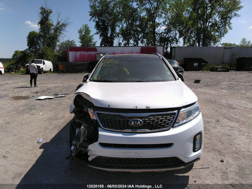 2014 Kia Sorento VIN: 5XYKWDA75EG508461 Lot: 12020185