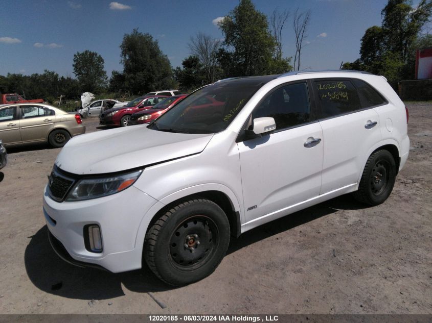 2014 Kia Sorento VIN: 5XYKWDA75EG508461 Lot: 12020185