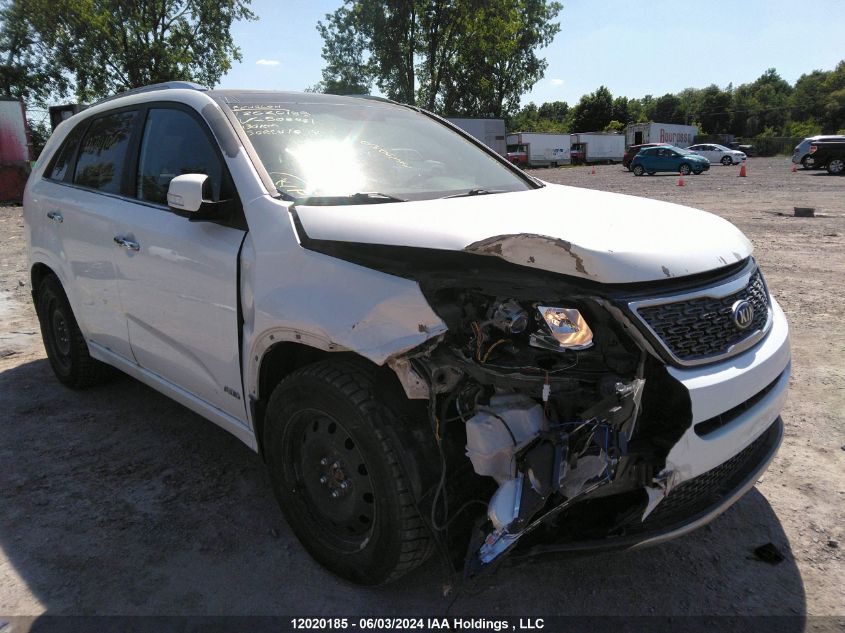 2014 Kia Sorento VIN: 5XYKWDA75EG508461 Lot: 12020185