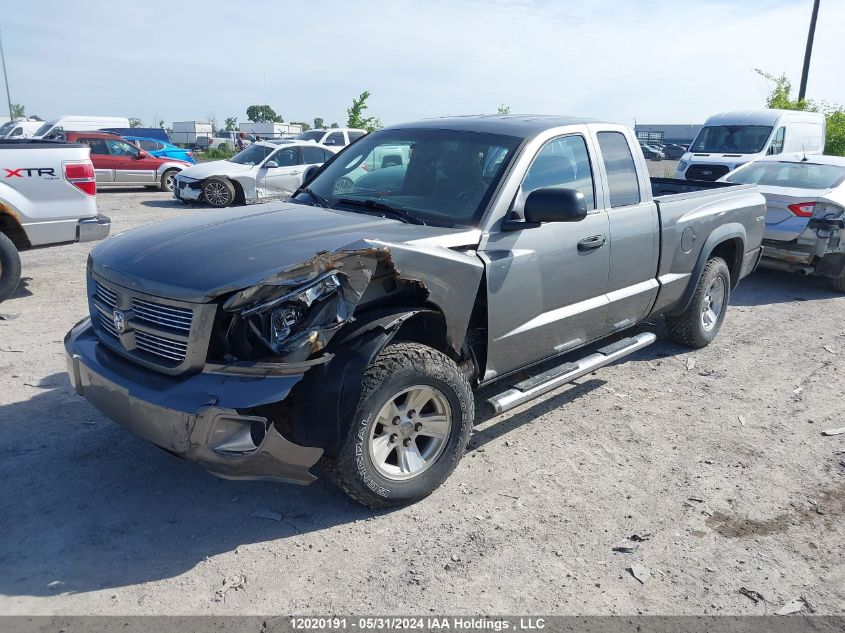 2010 Dodge Dakota Sxt VIN: 1D7CW3BK9AS184247 Lot: 12020191