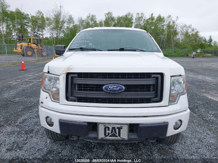 2013 Ford F-150 Stx VIN: 1FTMF1EF9DKF23322 Lot: 12020200