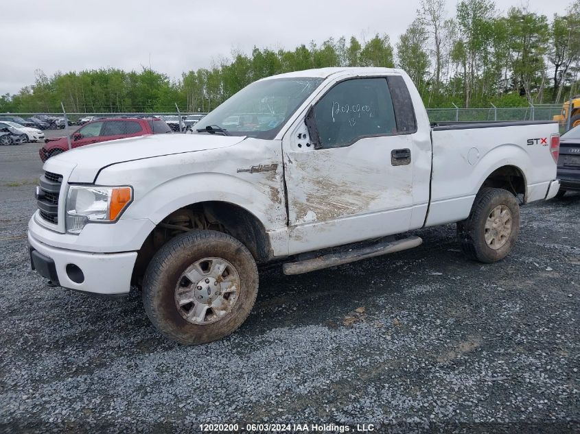 2013 Ford F-150 Stx VIN: 1FTMF1EF9DKF23322 Lot: 12020200