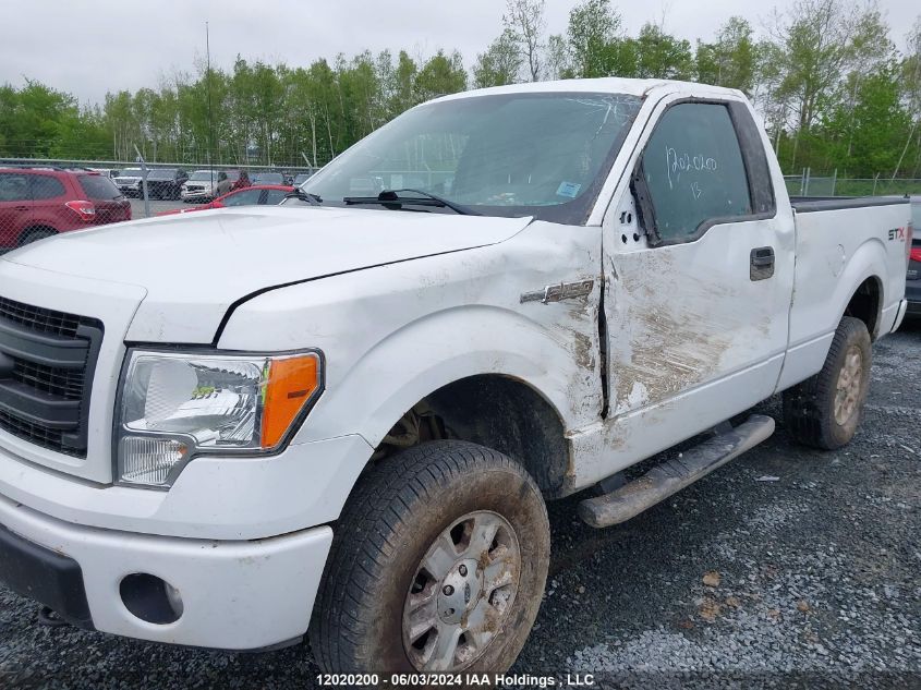 2013 Ford F-150 Stx VIN: 1FTMF1EF9DKF23322 Lot: 12020200