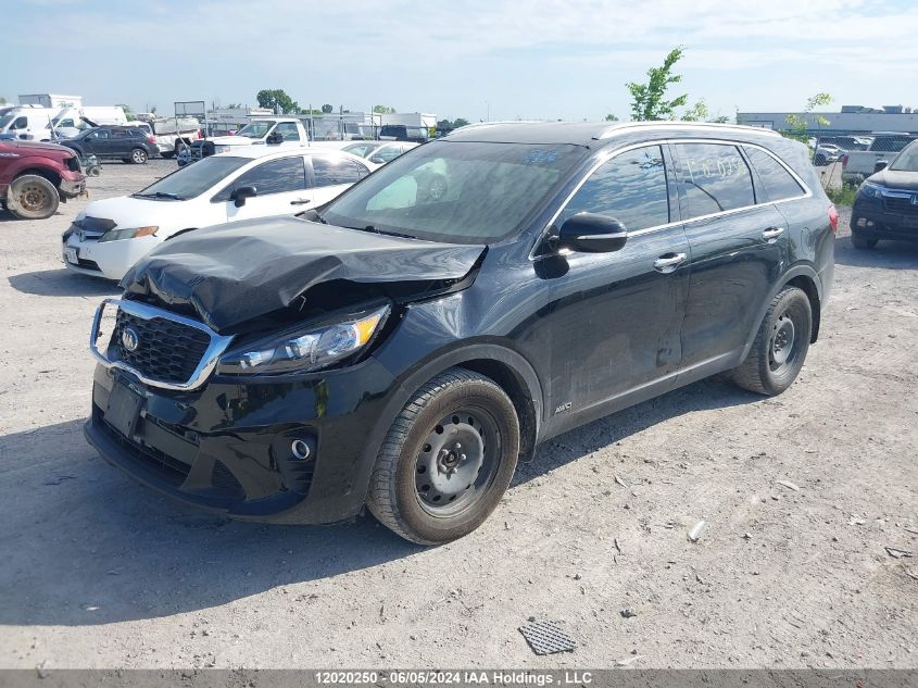 2019 Kia Sorento VIN: 5XYPGDA53KG517432 Lot: 12020250