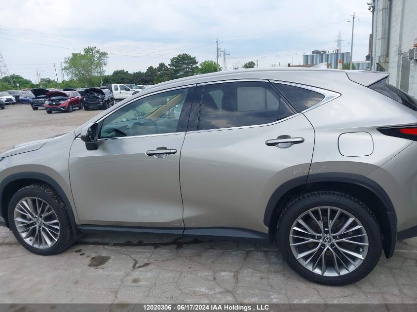 2022 Lexus Nx 350 VIN: 2T2GGCEZ0NC001757 Lot: 12020306