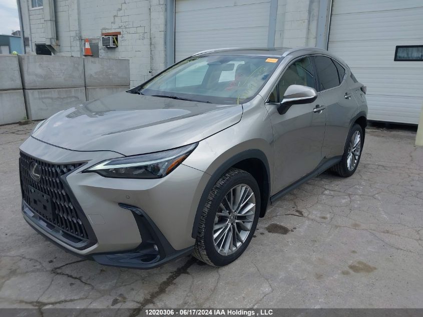 2022 Lexus Nx 350 VIN: 2T2GGCEZ0NC001757 Lot: 12020306