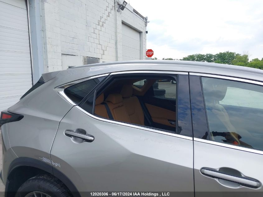 2022 Lexus Nx 350 VIN: 2T2GGCEZ0NC001757 Lot: 12020306