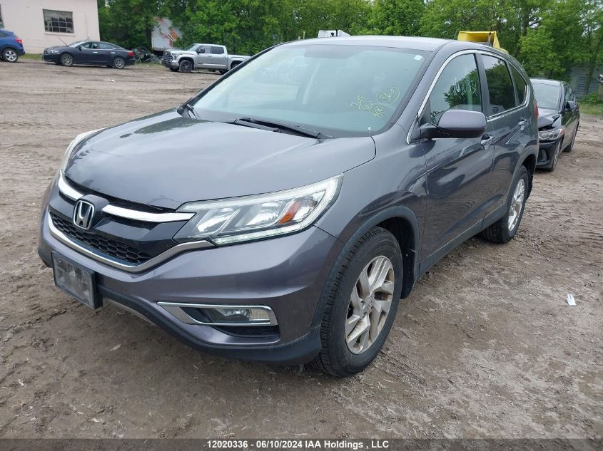 2016 Honda Cr-V VIN: 2HKRM4H43GH113576 Lot: 12020336