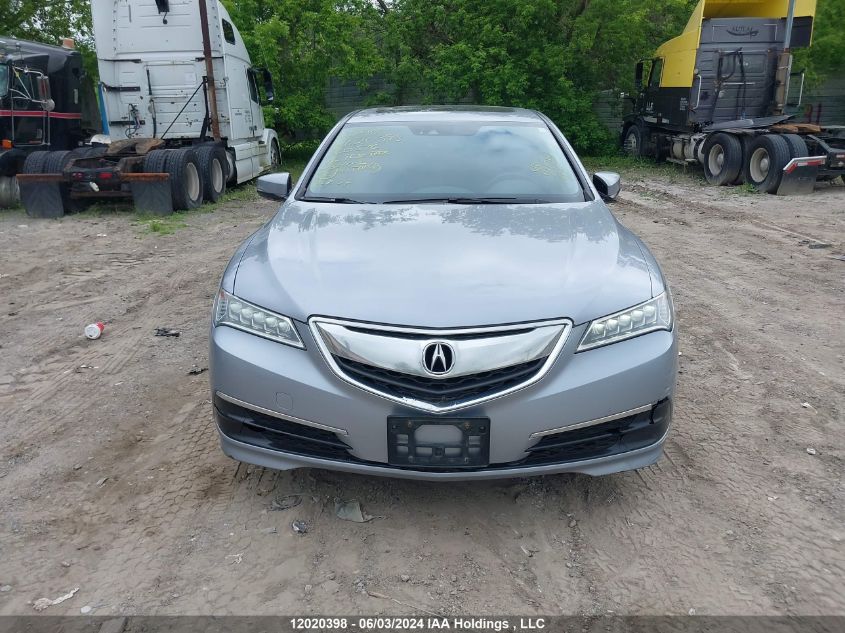 2016 Acura Tlx Tech VIN: 19UUB3F54GA800516 Lot: 12020398