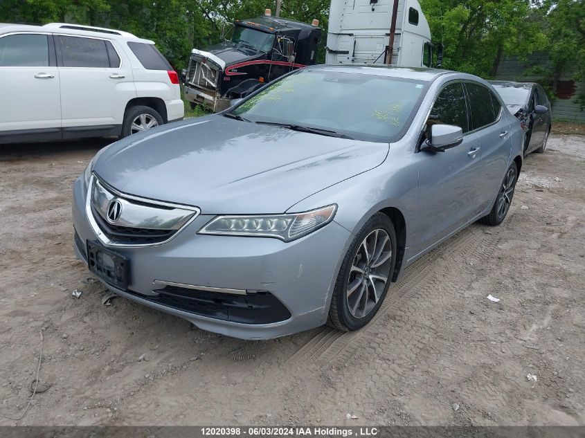 2016 Acura Tlx Tech VIN: 19UUB3F54GA800516 Lot: 12020398