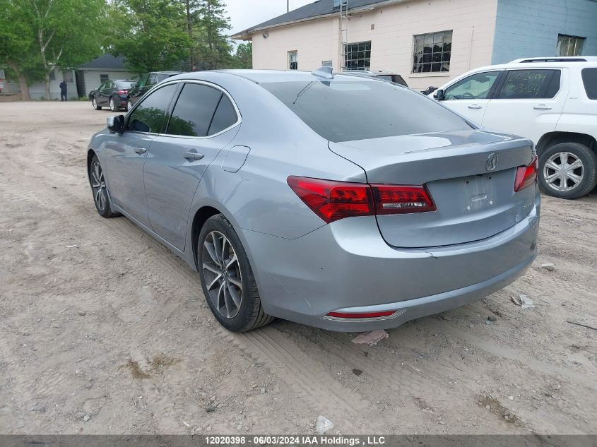 2016 Acura Tlx Tech VIN: 19UUB3F54GA800516 Lot: 12020398