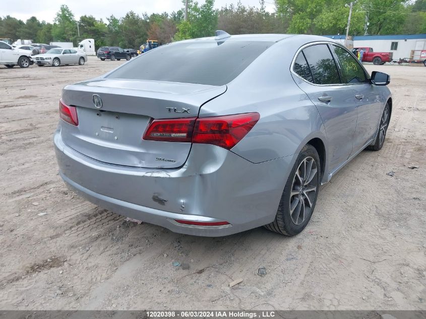 2016 Acura Tlx Tech VIN: 19UUB3F54GA800516 Lot: 12020398