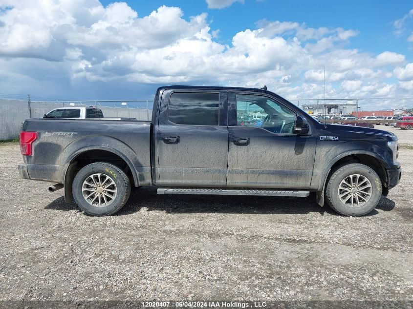 2019 Ford F150 Supercrew VIN: 1FTEW1EPXKKD09627 Lot: 12020407