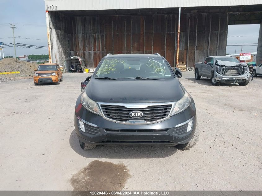 2013 Kia Sportage VIN: KNDPCCA22D7423361 Lot: 12020446