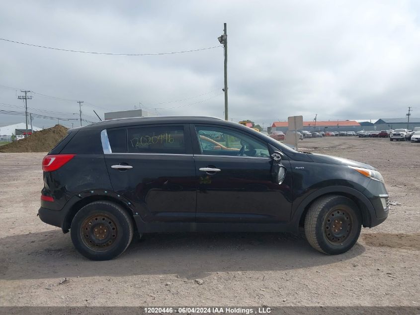 2013 Kia Sportage VIN: KNDPCCA22D7423361 Lot: 12020446