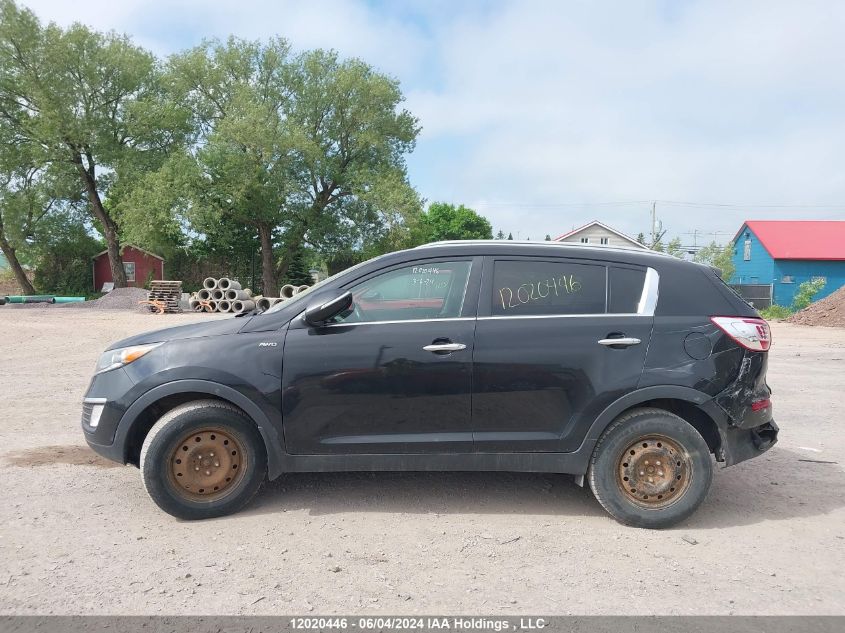2013 Kia Sportage VIN: KNDPCCA22D7423361 Lot: 12020446