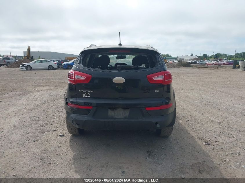 2013 Kia Sportage VIN: KNDPCCA22D7423361 Lot: 12020446