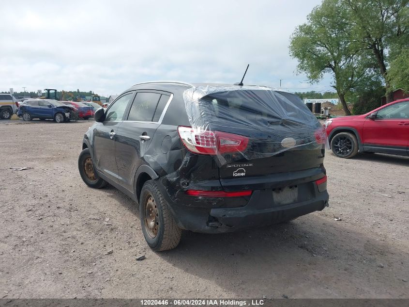 2013 Kia Sportage VIN: KNDPCCA22D7423361 Lot: 12020446