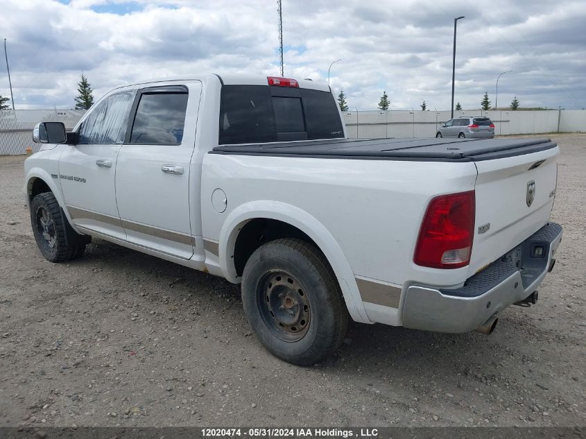 2011 Dodge Ram 1500 VIN: 1D7RV1CT3BS600917 Lot: 12020474