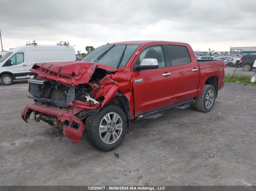 2015 Toyota Tundra Platinum 5.7L V8 VIN: 5TFAY5F16FX424308 Lot: 12020477