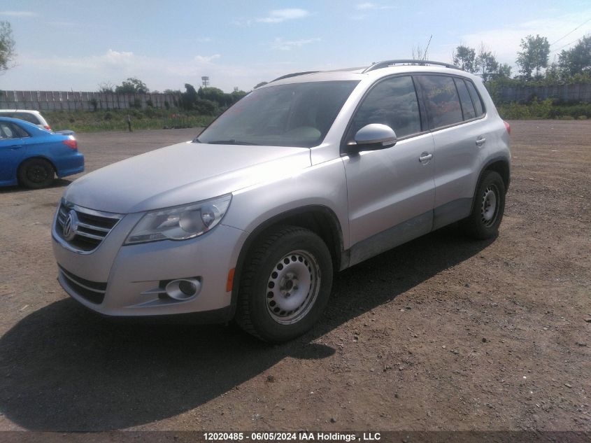 2010 Volkswagen Tiguan VIN: WVGBV7AX2AW528583 Lot: 12020485