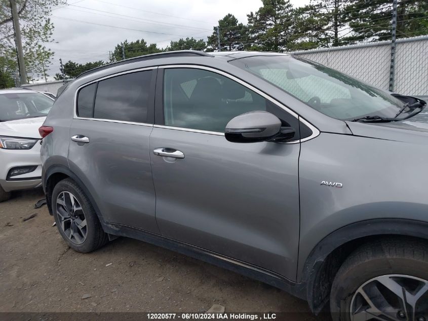 2022 Kia Sportage VIN: KNDPNCAC4N7973620 Lot: 12020577