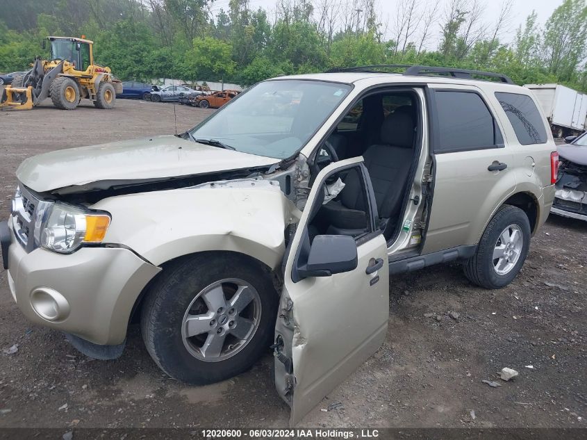 2011 Ford Escape Xlt VIN: 1FMCU0D79BKB94054 Lot: 12020600