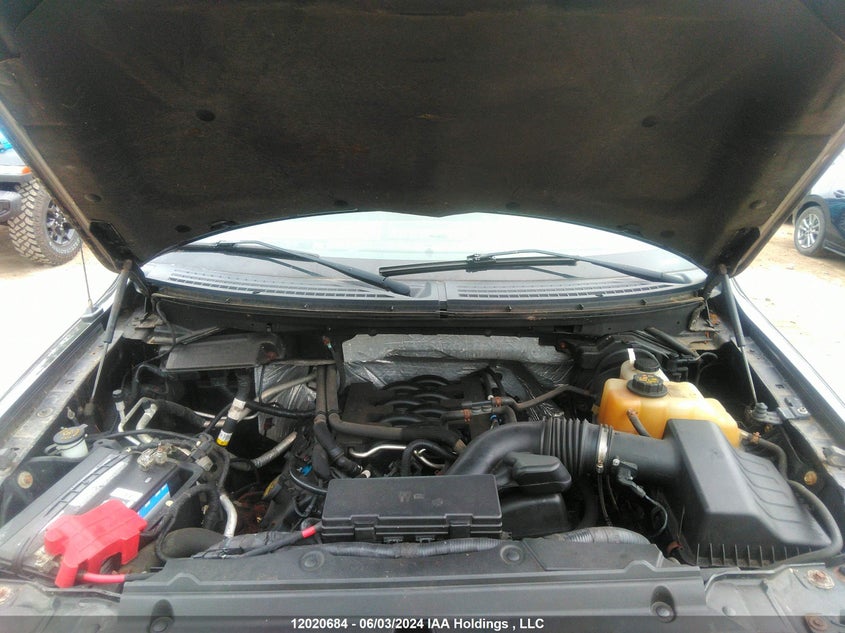 2011 Ford F150 Supercrew VIN: 1FTFW1EFXBFB36213 Lot: 12020684