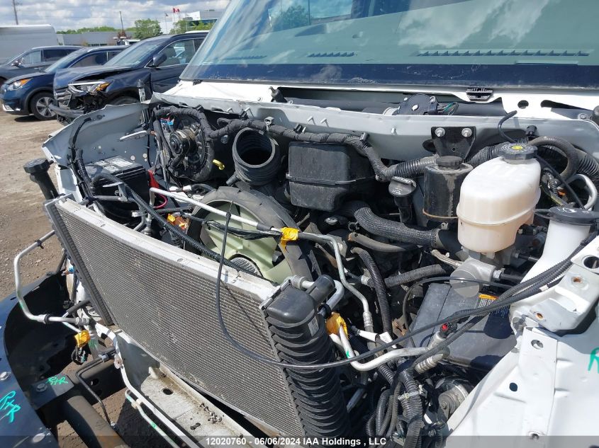 2021 Chevrolet Express VIN: 1GCWGAF73M1304004 Lot: 12020760