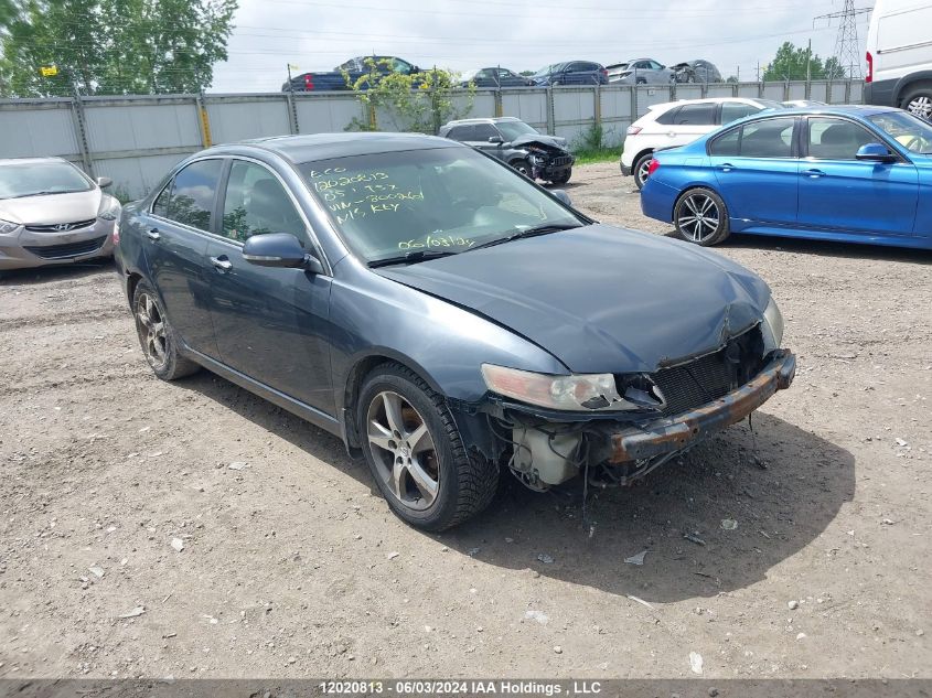 2005 Acura Tsx VIN: JH4CL96825C800261 Lot: 12020813