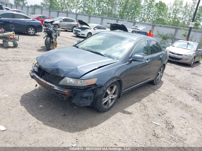 2005 Acura Tsx VIN: JH4CL96825C800261 Lot: 12020813