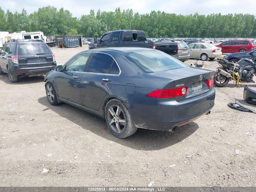 2005 Acura Tsx VIN: JH4CL96825C800261 Lot: 12020813