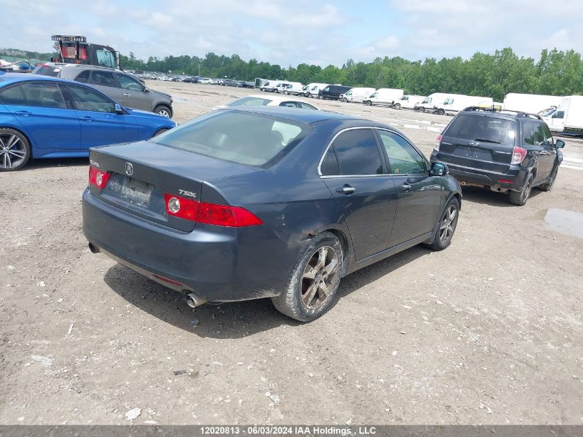 2005 Acura Tsx VIN: JH4CL96825C800261 Lot: 12020813