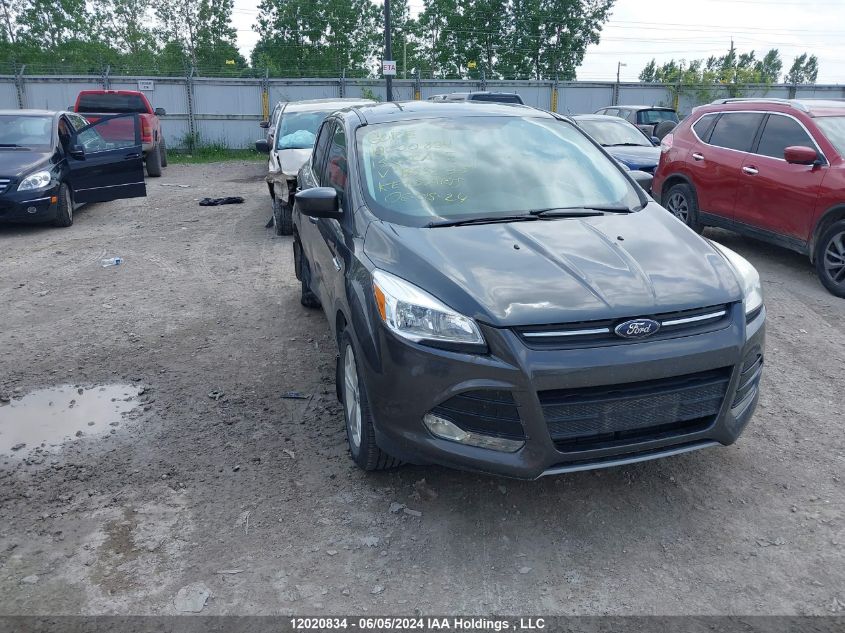 2015 Ford Escape Se VIN: 1FMCU9G97FUB53238 Lot: 12020834