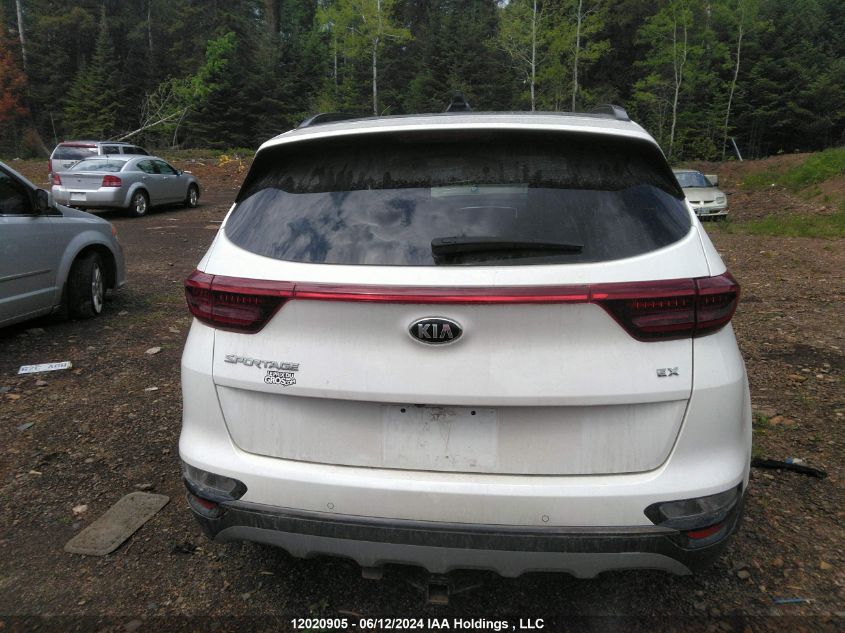 2022 Kia Sportage VIN: KNDPNCAC3N7023068 Lot: 12020905