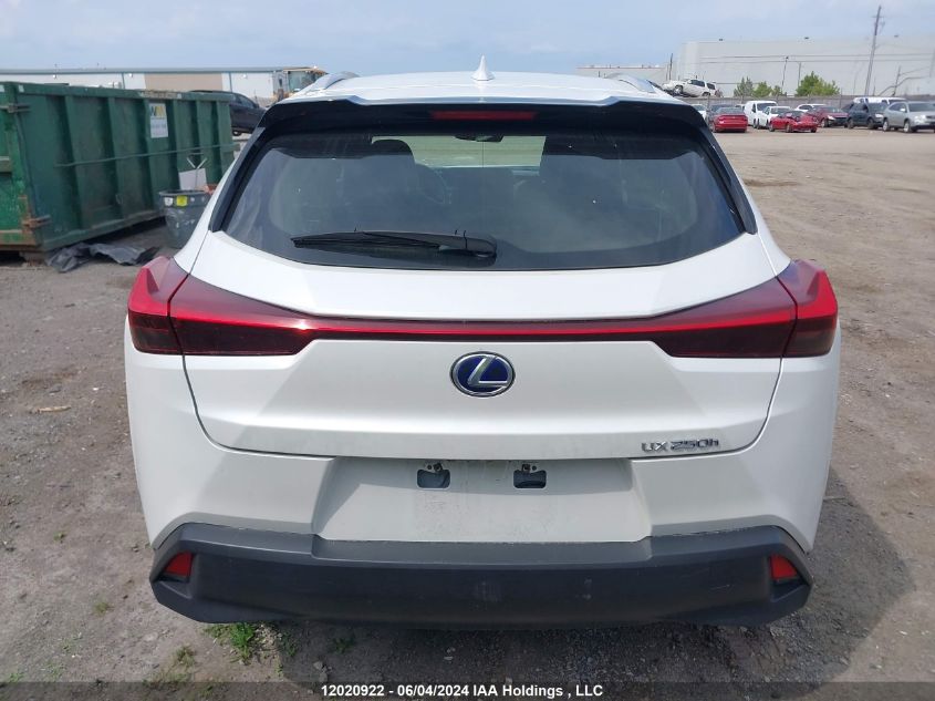 2020 Lexus Ux 250H VIN: JTHP9JBH3L2027729 Lot: 12020922