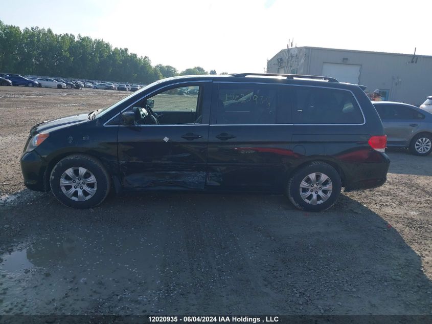 2010 Honda Odyssey VIN: 5FNRL3H68AB505053 Lot: 12020935