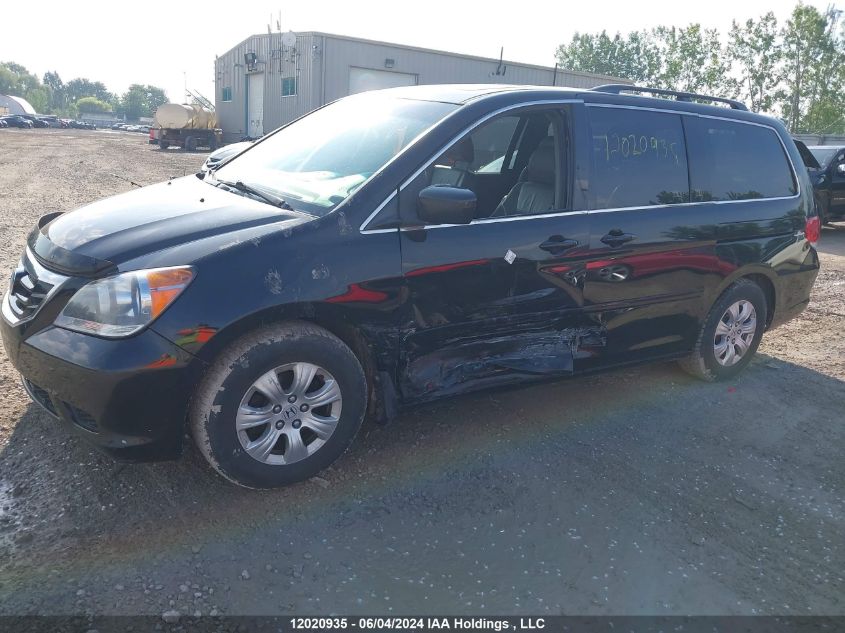 2010 Honda Odyssey VIN: 5FNRL3H68AB505053 Lot: 12020935