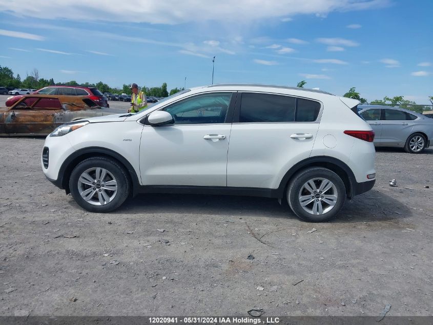 2017 Kia Sportage VIN: KNDPMCAC0H7176174 Lot: 12020941