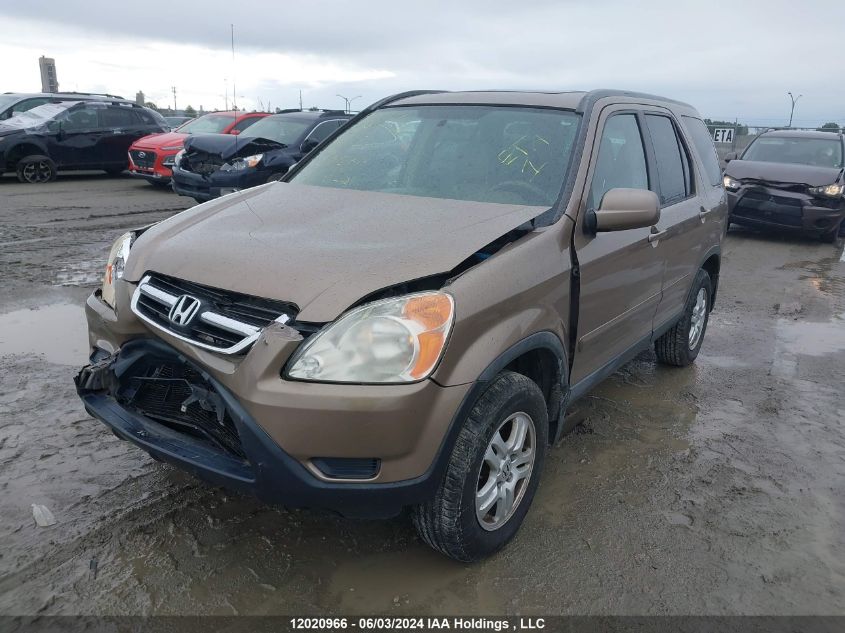 2004 Honda Cr-V VIN: JHLRD78984C809700 Lot: 12020966