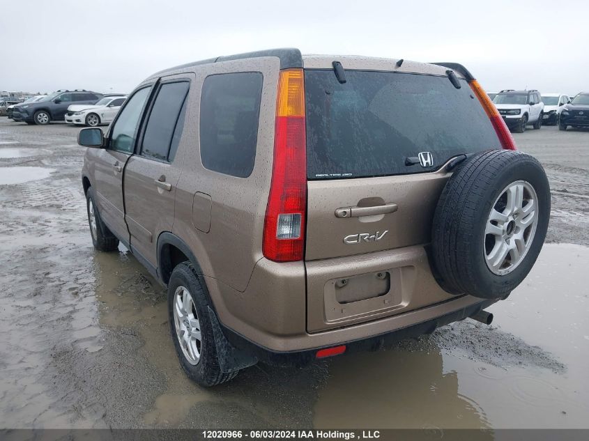 2004 Honda Cr-V VIN: JHLRD78984C809700 Lot: 12020966